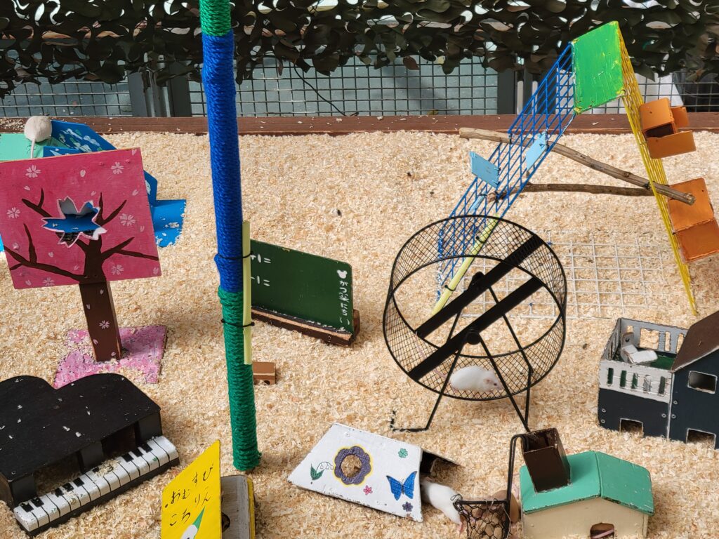 野毛山動物園 なかよし広場 ハツカネズミコーナー 手作り遊具