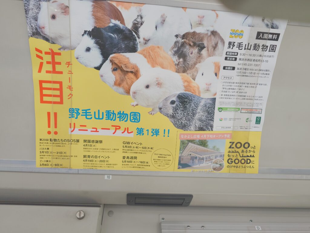 野毛山動物園 なかよし広場 リニューアル ポスター 横浜市立動物園 2025年春イベント情報