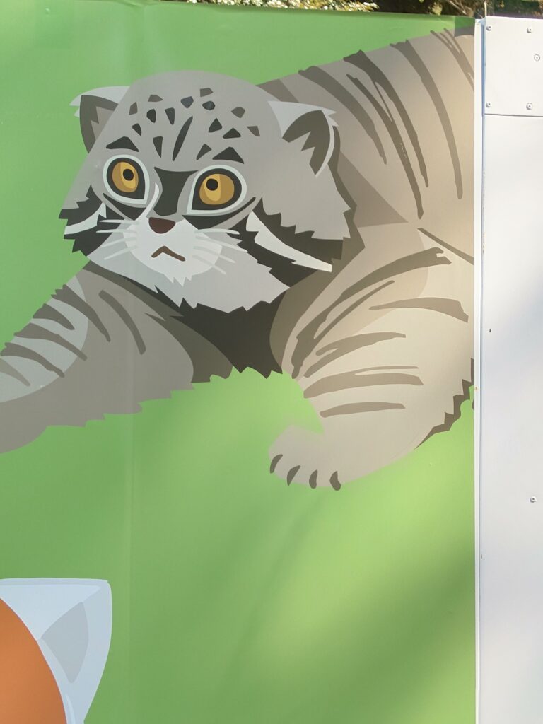 野毛山動物園 マヌルネコ イラスト 工事中の看板デザイン