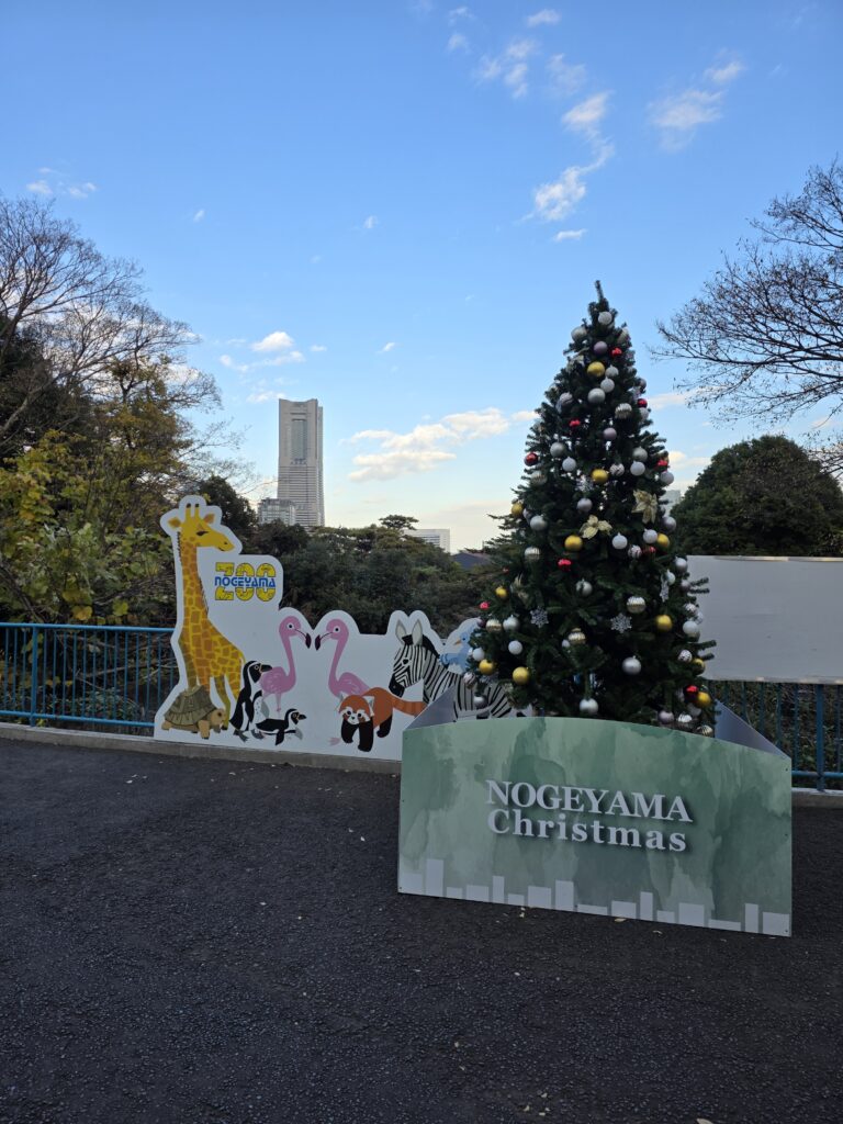 20251209撮影、野毛山動物園　木漏れ日広場そばにて