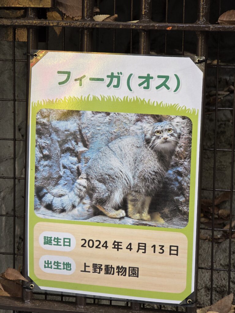 フィーガ君の紹介パネル