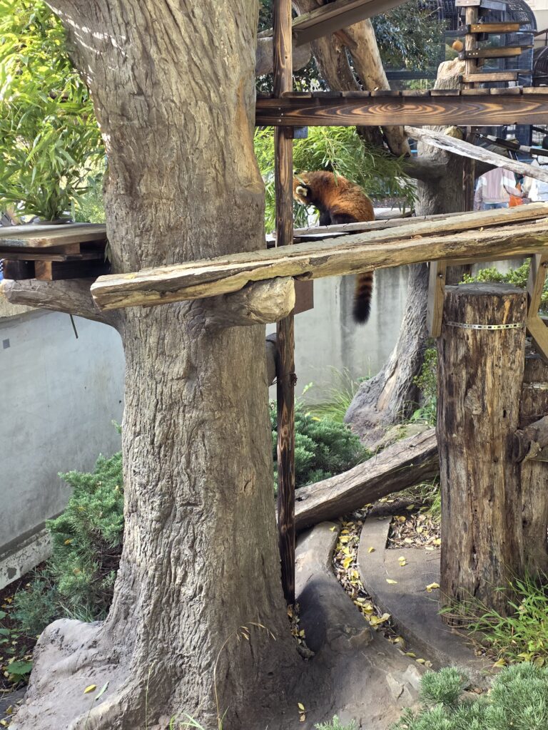 ベストショットを狙うならスマホの予備バッテリーを忘れずにという例。