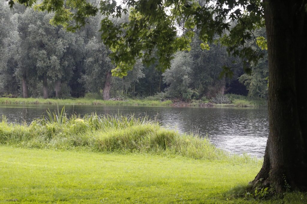 緑に囲まれた美術館近くの水辺。静かな雰囲気の中で一息つける場所。